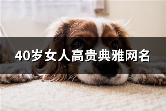 40歲女人高貴典雅網名(共237個)