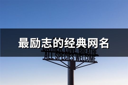 最勵志的經(jīng)典網(wǎng)名(278個)