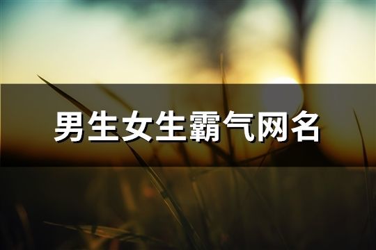 男生女生霸氣網名(精選729個)