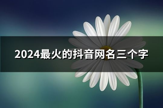 2024最火的抖音網名三個字(251個)