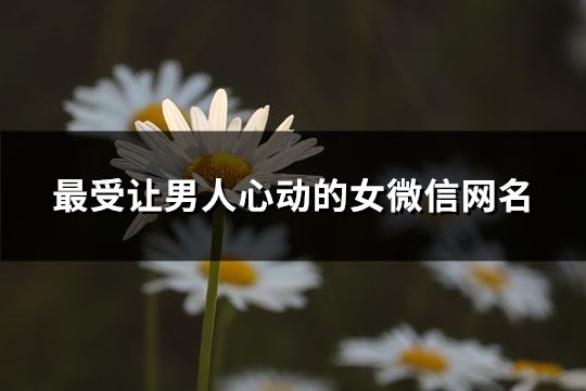 最受讓男人心動的女微信網名(共69個)