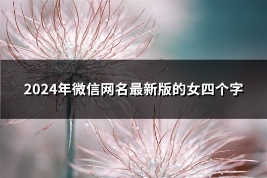2024年微信網名最新版的女四個字(68個)