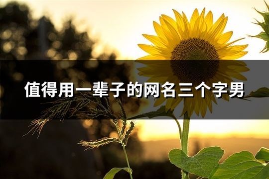 值得用一輩子的網名三個字男(共275個)