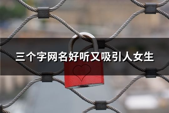 三個(gè)字網(wǎng)名好聽(tīng)又吸引人女生(144個(gè))