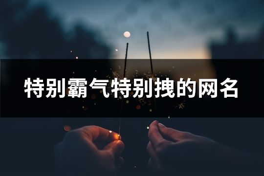 特別霸氣特別拽的網(wǎng)名(精選30個(gè))