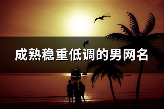 成熟穩(wěn)重低調(diào)的男網(wǎng)名(精選1501個(gè))
