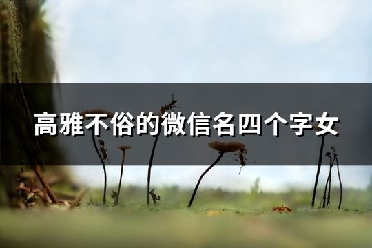 高雅不俗的微信名四個字女(精選38個) 高雅不俗的微信名四個字女(精選38個)