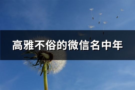 高雅不俗的微信名中年(共38個(gè))