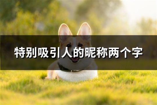 特別吸引人的昵稱兩個(gè)字(共44個(gè))