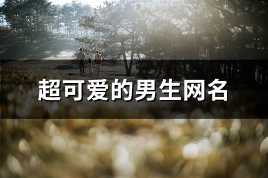 超可愛的男生網名(513個)