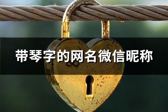 帶琴字的網(wǎng)名微信昵稱(78個)