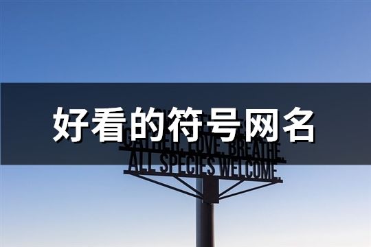 好看的符號網名(共314個)