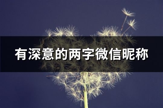 有深意的兩字微信昵稱(共1521個)