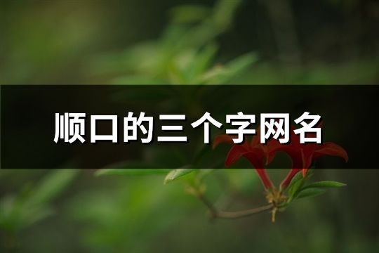 順口的三個字網名(共1443個)