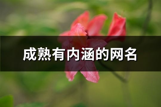 成熟有內(nèi)涵的網(wǎng)名(共647個(gè))