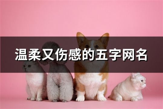 溫柔又傷感的五字網名(共595個)