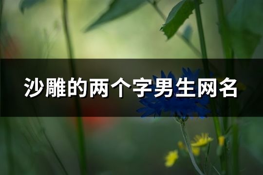 沙雕的兩個字男生網名(精選1713個)