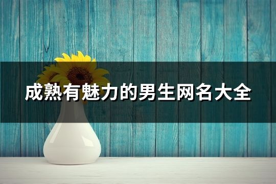 成熟有魅力的男生網名大全(共1655個)