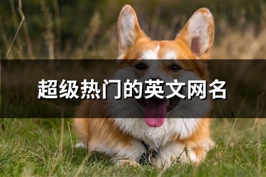超級熱門的英文網名(精選242個)