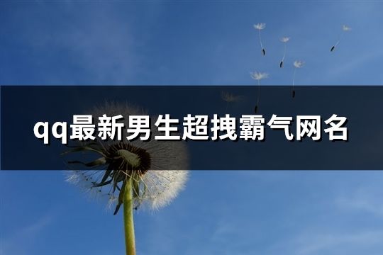 qq最新男生超拽霸氣網名(精選767個)