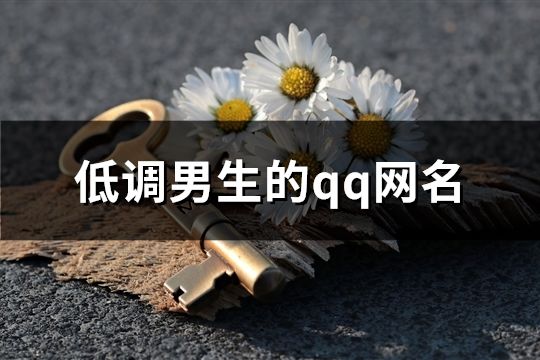 低調男生的qq網名(精選502個)