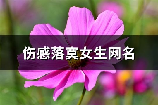 傷感落寞女生網名(共969個)