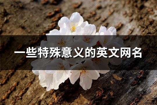 一些特殊意義的英文網(wǎng)名(精選114個(gè))