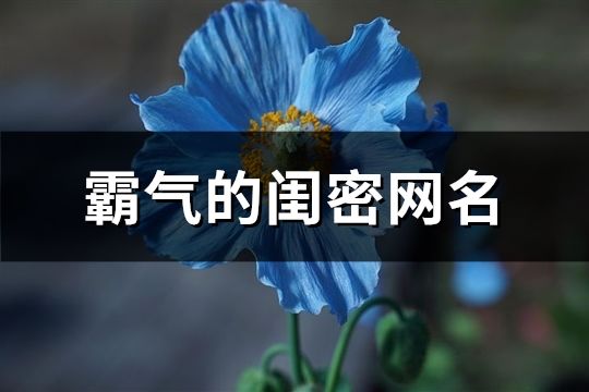 霸氣的閨密網(wǎng)名(精選176個)