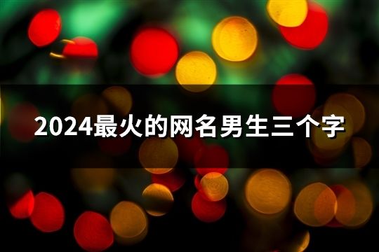 2024最火的網(wǎng)名男生三個(gè)字(共33個(gè))