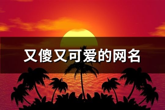 又傻又可愛的網(wǎng)名(精選490個)