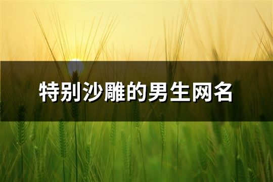 特別沙雕的男生網名(716個)
