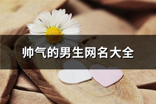 帥氣的男生網名大全(735個)