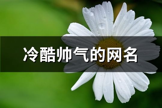 冷酷帥氣的網(wǎng)名(精選701個(gè))