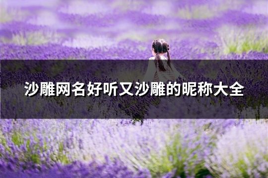 沙雕網名好聽又沙雕的昵稱大全(精選45個)