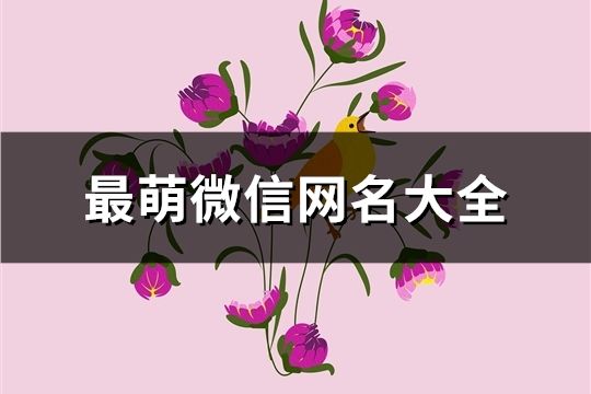 最萌微信網(wǎng)名大全(共647個)
