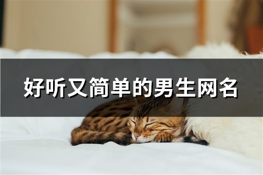 好聽又簡單的男生網名(797個)