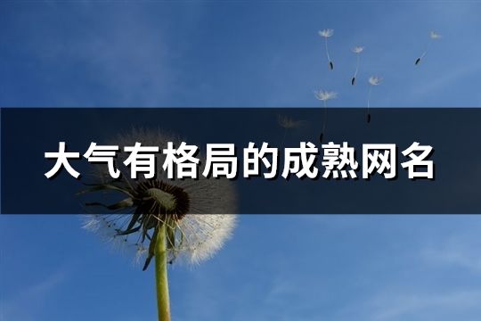 大氣有格局的成熟網名(共870個)