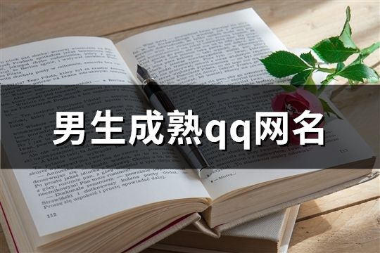 男生成熟qq網名(精選856個)