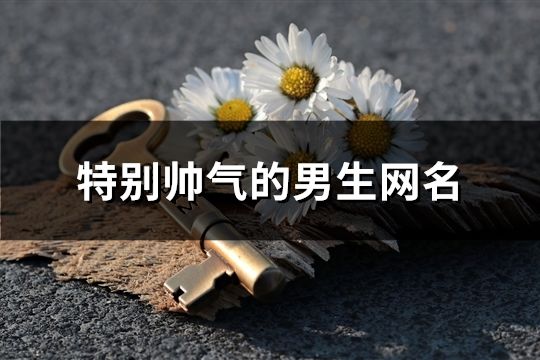 特別帥氣的男生網(wǎng)名(精選202個)