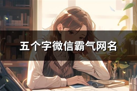五個字微信霸氣網(wǎng)名(997個)
