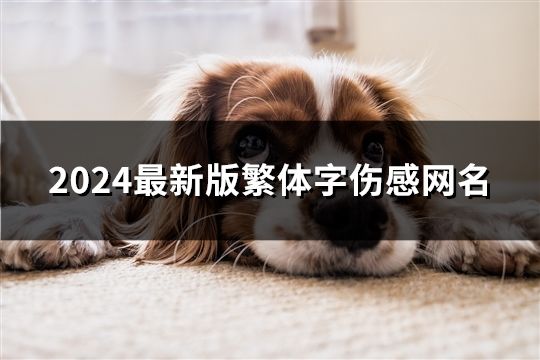 2024最新版繁體字傷感網名(精選376個)
