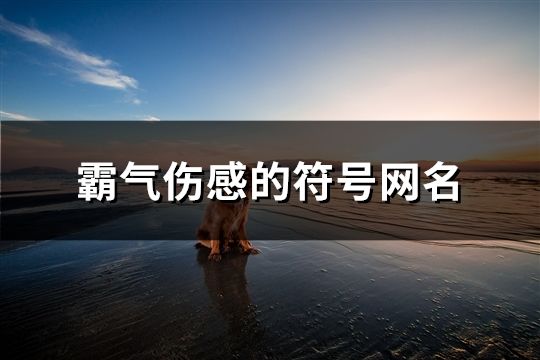 霸氣傷感的符號網名(170個)