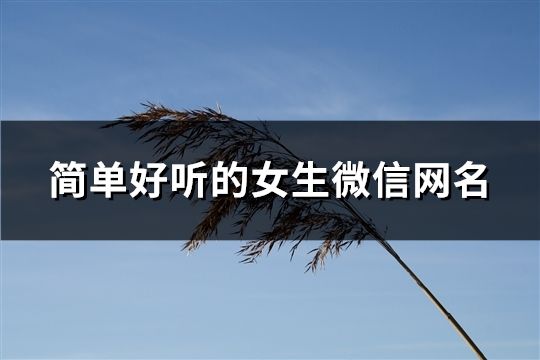 簡單好聽的女生微信網名(共1178個)
