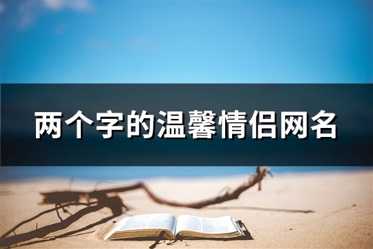 兩個字的溫馨情侶網名(191個)