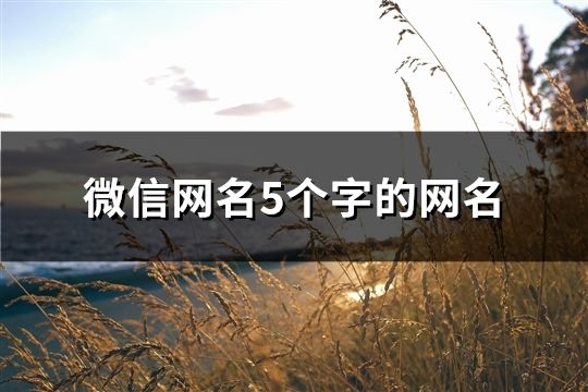 微信網(wǎng)名5個(gè)字的網(wǎng)名(共606個(gè))