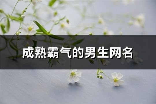 成熟霸氣的男生網名(462個)