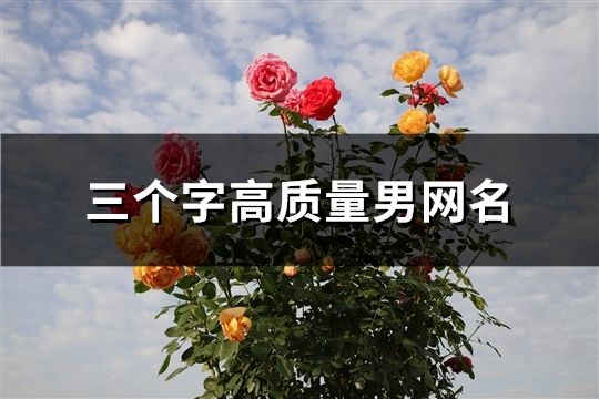 三個(gè)字高質(zhì)量男網(wǎng)名(614個(gè))