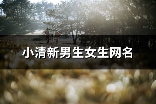 小清新男生女生網名(648個)