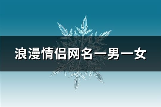 浪漫情侶網(wǎng)名一男一女(共107組)