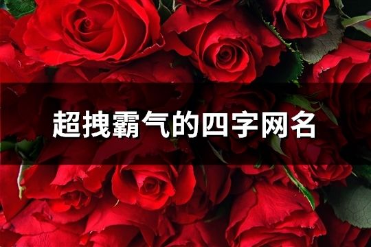 超拽霸氣的四字網名(793個)